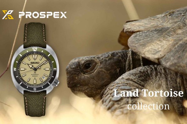 Prospex Land “Tortoise” modellek - teknős a parton