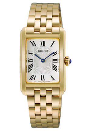 HGG001P1